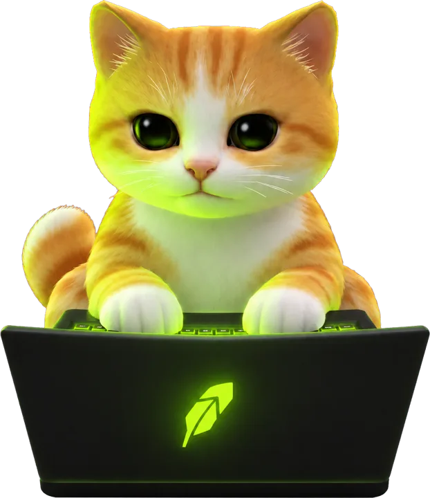 The Dip Cat at his laptop